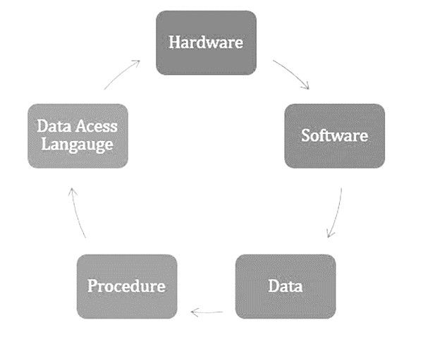 components of a DBMS